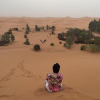 Mohammad Yaser's Photo