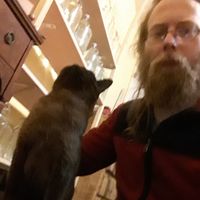 Joshua Lamb的照片