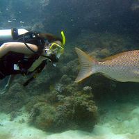 Britta Lietke's Photo