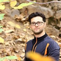 hamed gholami的照片