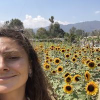 Yasmin Koussa's Photo