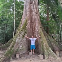 Angelo Lizana Pérez's Photo