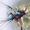 Erwin Ariño's Photo