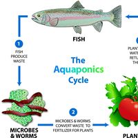 Aqua-Tech. Osnabrück's Photo