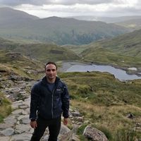 Michael Wise's Photo