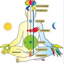 MEDİTATİON's picture