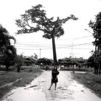 cesia coyla的照片