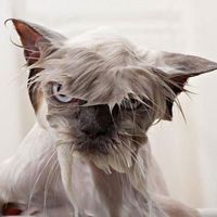 Salih Yucel的照片