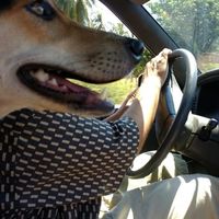 Fotos de Carlos Bailon