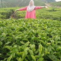 Fotos de Nabilah Zahri