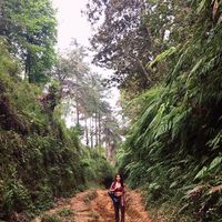 Le foto di Ramona Manzanilla