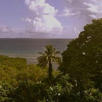 Tim Lawrence's Photo