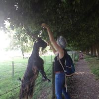 Charlotte Romain的照片