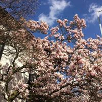 Chandni Gupta的照片