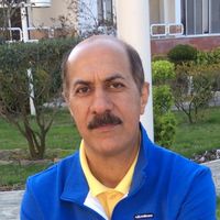 Hassan Safavi的照片