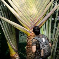 Avijit Sharma的照片