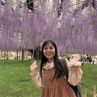 Hau Nguyen's Photo