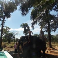 Ilya Sergeev的照片