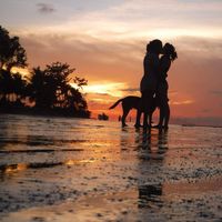 Stacy Van Loan's Photo