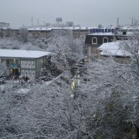 Fatma Hashem的照片