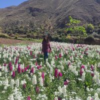 Fabiola Castro's Photo