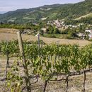 Foto de Harvest In The Countryside 