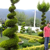 Reza Ansaripour的照片