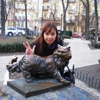 Dragana Vasilijevic's Photo