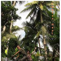 Sarah and Romain Velo's Photo