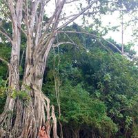 Wayra del Sol's Photo