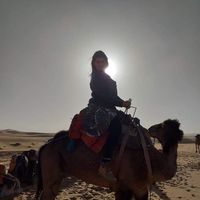 Greice Amorim的照片