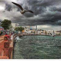 Photos de Abdullah Ali