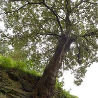 Beatriz Quintana's Photo