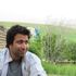 mojtaba shafiei的照片
