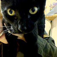 Michelle Schol's Photo