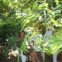 Chantal Bellis's Photo