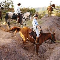 Antonio Camacho的照片