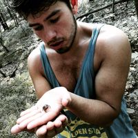 Le foto di Paeder Varnam