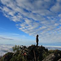 Weeradet Chanpirom's Photo