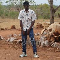 Kelvin Muthomi的照片