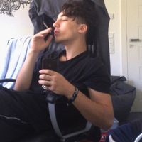 Paul Plellis的照片