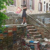 Adelina Haiduc的照片