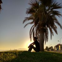 Daniel Herrmann's Photo