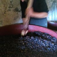 francesco pierotti的照片