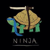 Sahib Bandala的照片