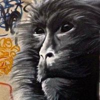 Sayer Engiir's Photo