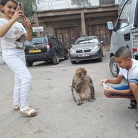 Фотографии пользователя Mounir Chairi