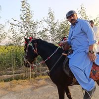 Fotos de Abdul Razaque Abrejo