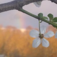 Beate Walsdorff's Photo