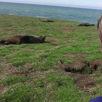 Photos de Martina Beňová